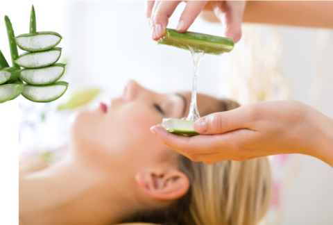 comment bien cicatriser avec l'aloe vera