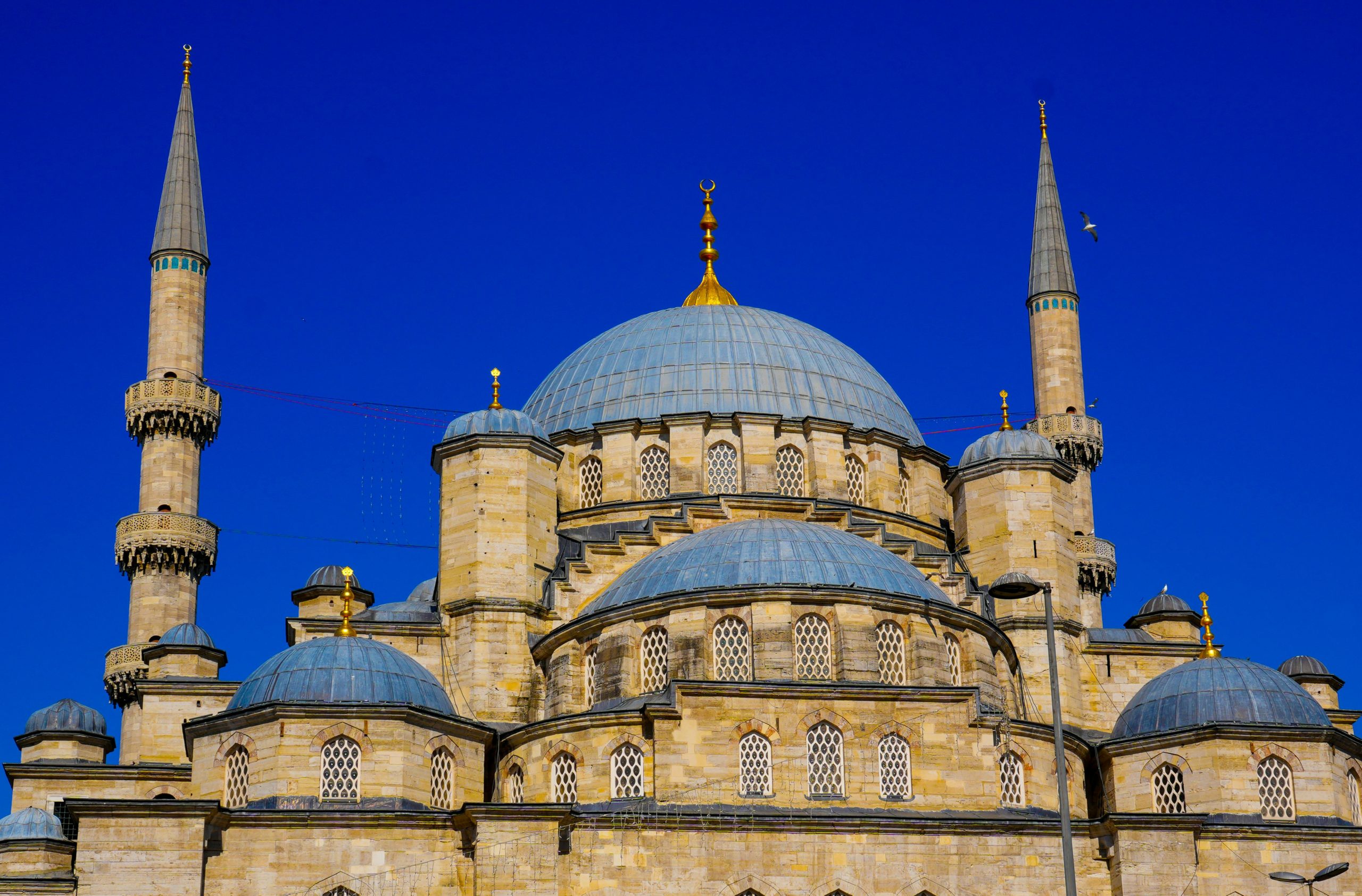 La Mosquée Bleue