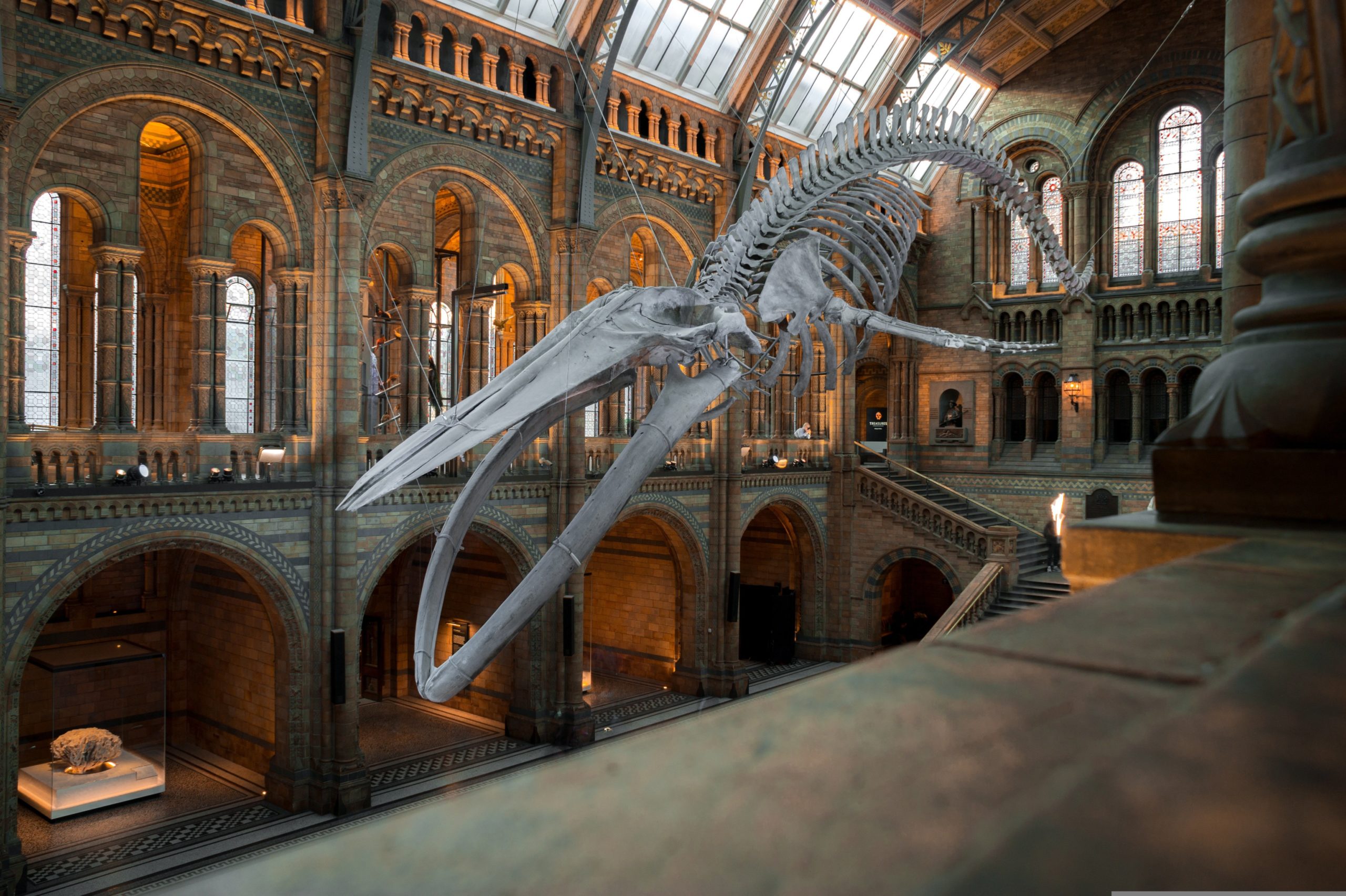 Musées