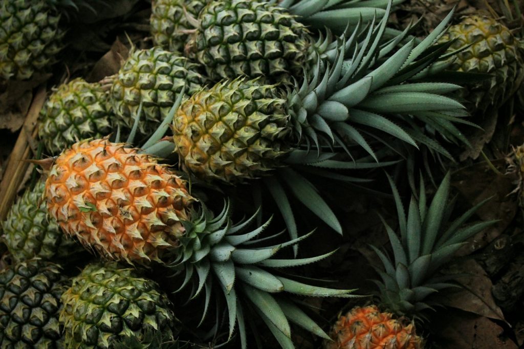 Ananas