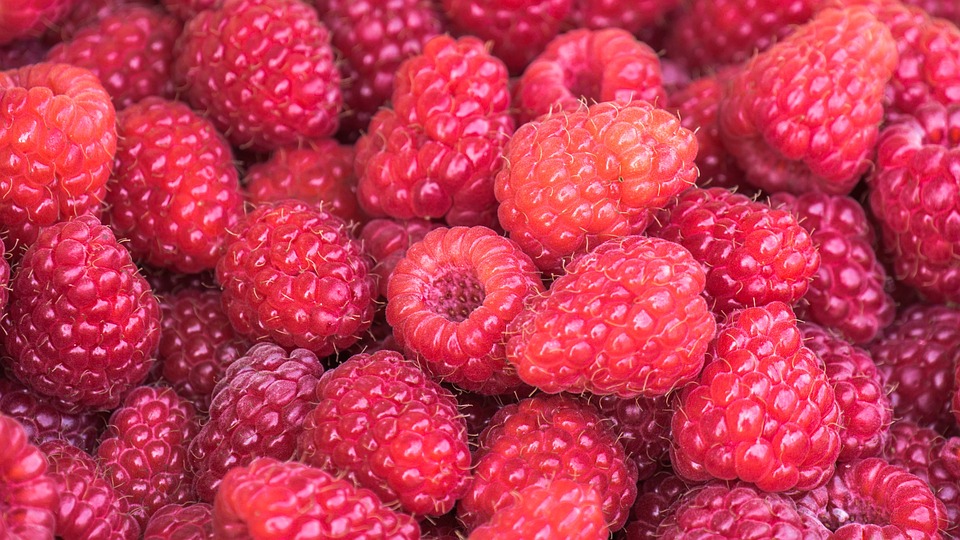 Framboises