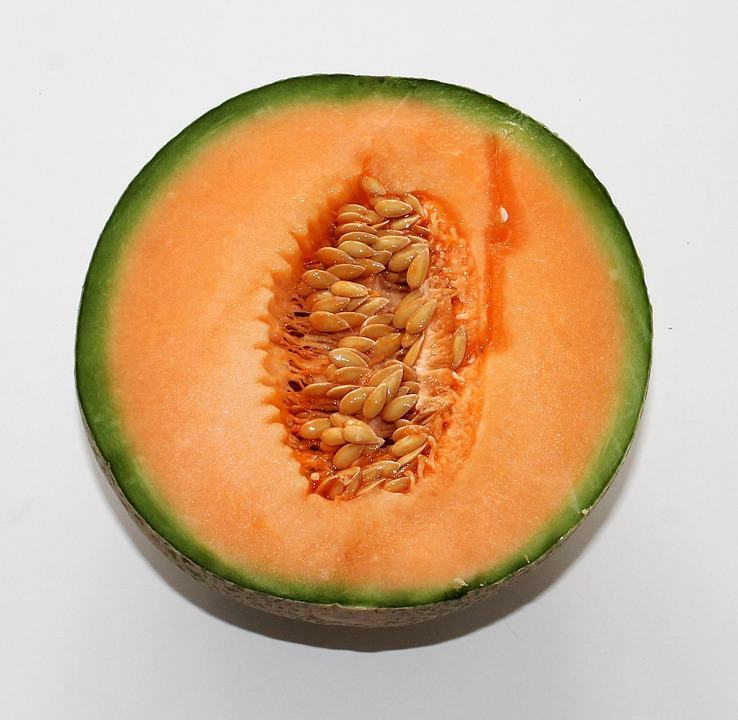 Melon