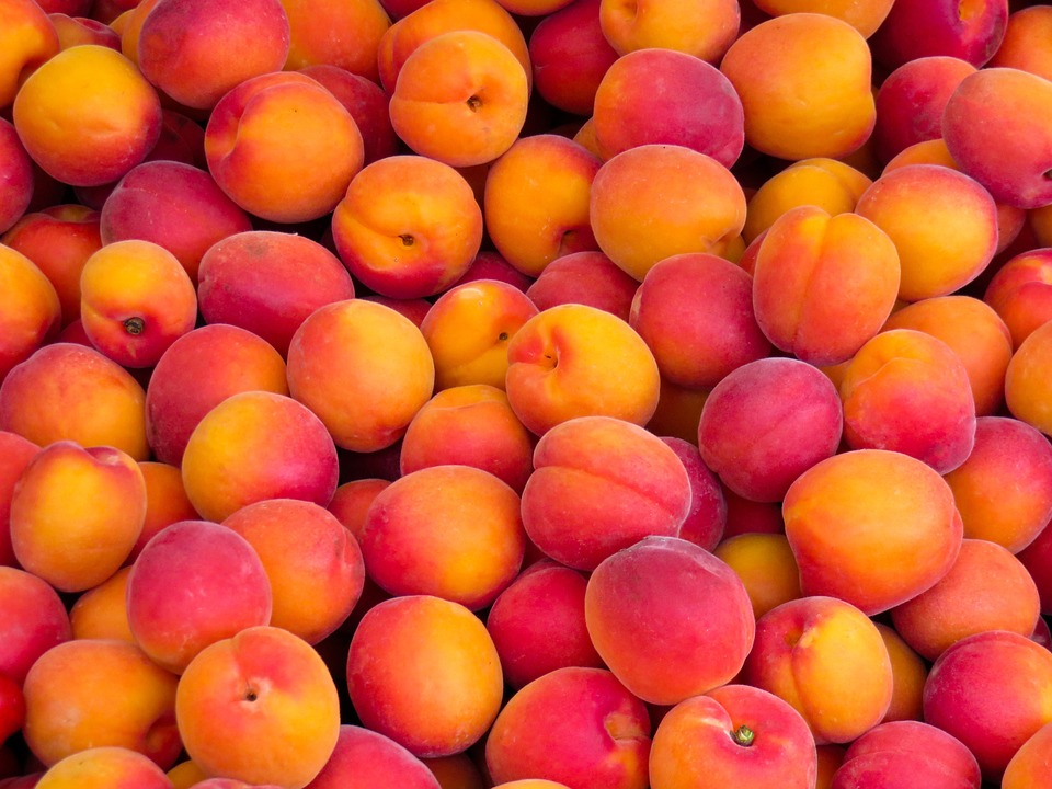 Nectarines